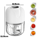 Mini Processador Triturador Sem Fio Elétrico 250ML De Alimentos Para Legumes Alho Gengibre Espremedor De Alho